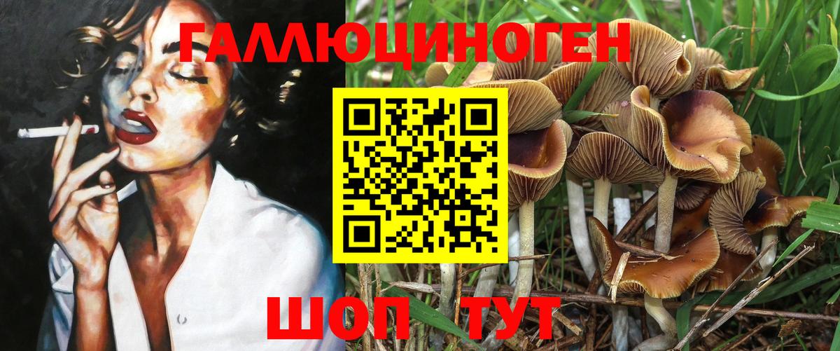 Избербаш  Галлюциногенные грибы GOLDEN TEACHER  Вход с VPN 