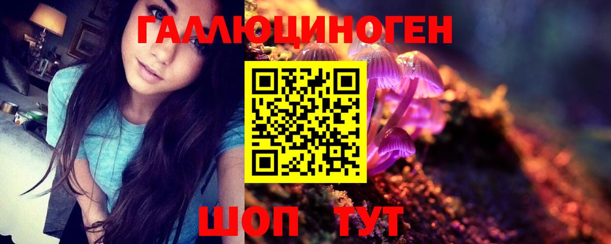 Галлюциногенные грибы Magic Shrooms Избербаш